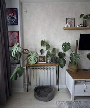 1-к квартира, вторичка, 30м2, 7/9 этаж