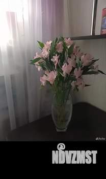 1-к квартира, вторичка, 29м2, 5/5 этаж