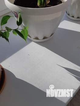 1-к квартира, вторичка, 30м2, 1/6 этаж