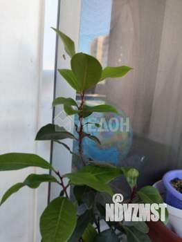3-к квартира, вторичка, 67м2, 3/7 этаж