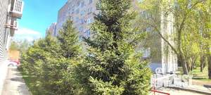 3-к квартира, вторичка, 85м2, 6/9 этаж