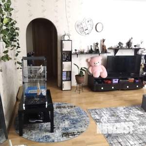 3-к квартира, вторичка, 76м2, 6/11 этаж