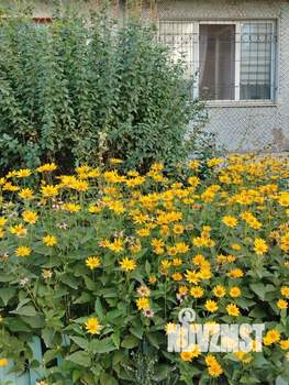 3-к квартира, вторичка, 51м2, 5/9 этаж